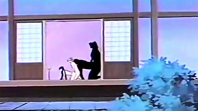 Vintage hentai fuck with beautiful doggystyle