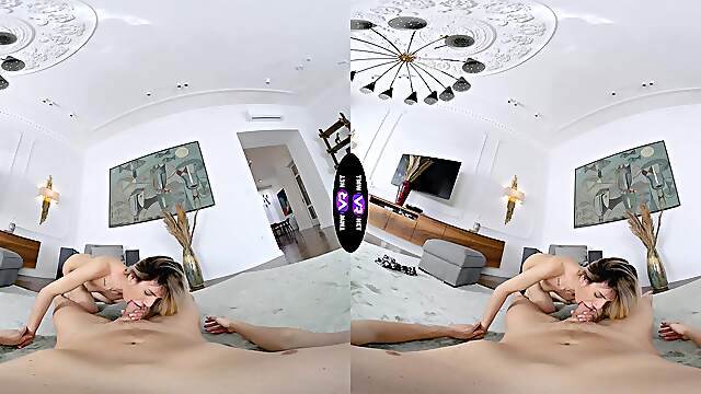 A couple has sex in different poses, including doggy style and reverse cowgirl