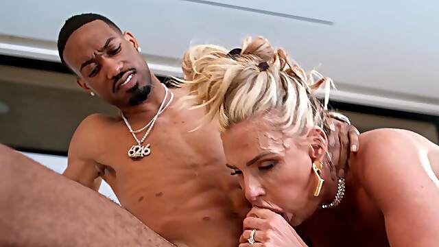 Hollywood Cash stuffs Phoenix Marie’s ass with his bbc in a steamy scene.